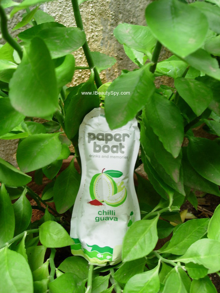 paperboat_nature